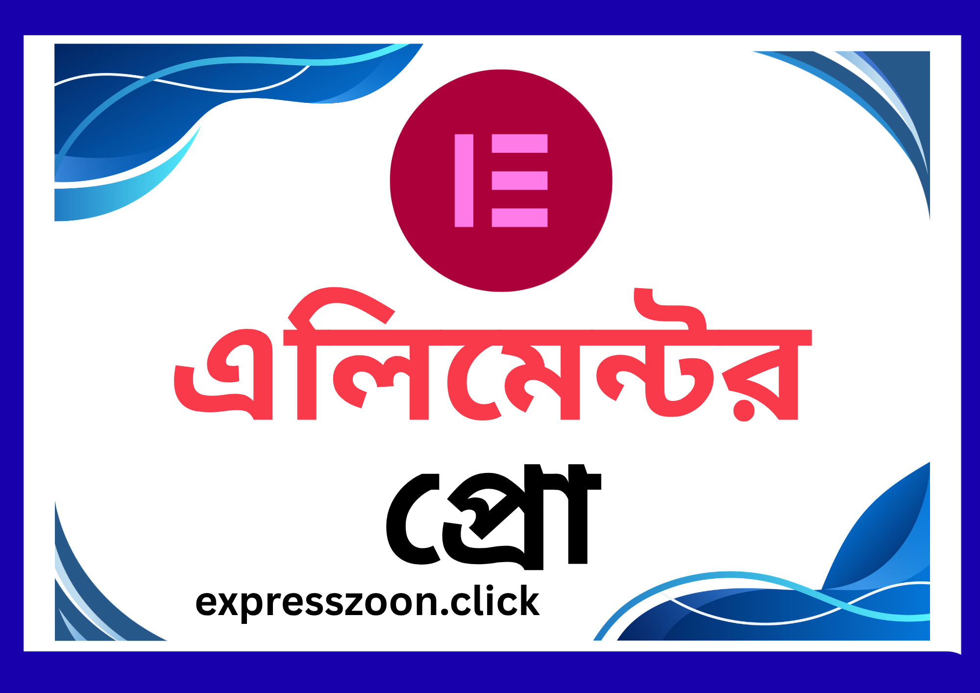 এলিমেন্টর প্রো